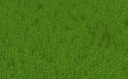 Screenshot of Minecraft server True Vanilla Experiment