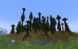 Minecraft location Cursed Forest