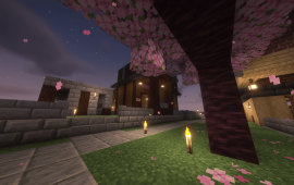 Minecraft location Город Arcem Oblitus
