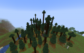 Minecraft location Cursed Forest