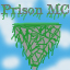 Icon of Minecraft Server PrisonMC