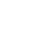 Icon of Minecraft Server FluxMC