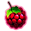 Icon of Minecraft Server MCRaspi