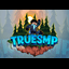 Icon of Minecraft Server TrueSMP