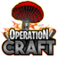 Icon of Minecraft Server Igniscraft