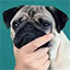 Icon of Minecraft Server 4Chan Minecraft Server