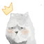 Icon of Minecraft Server donut.minewind.net
