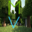 Icon of Minecraft Server Minecraftvanilla