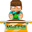 Icon of Minecraft Server MinETSII