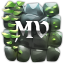 Icon of Minecraft Server Magic Voxels