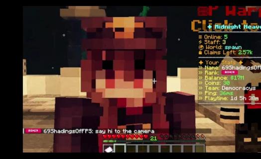 Some gameplay of the server